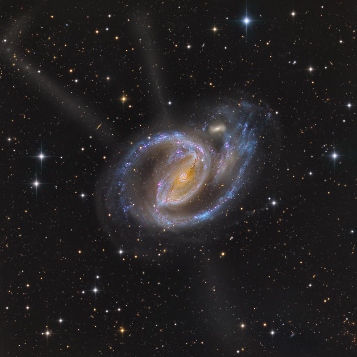 Image of a spiral galaxy with blue spiral arms and a pink star forming regions