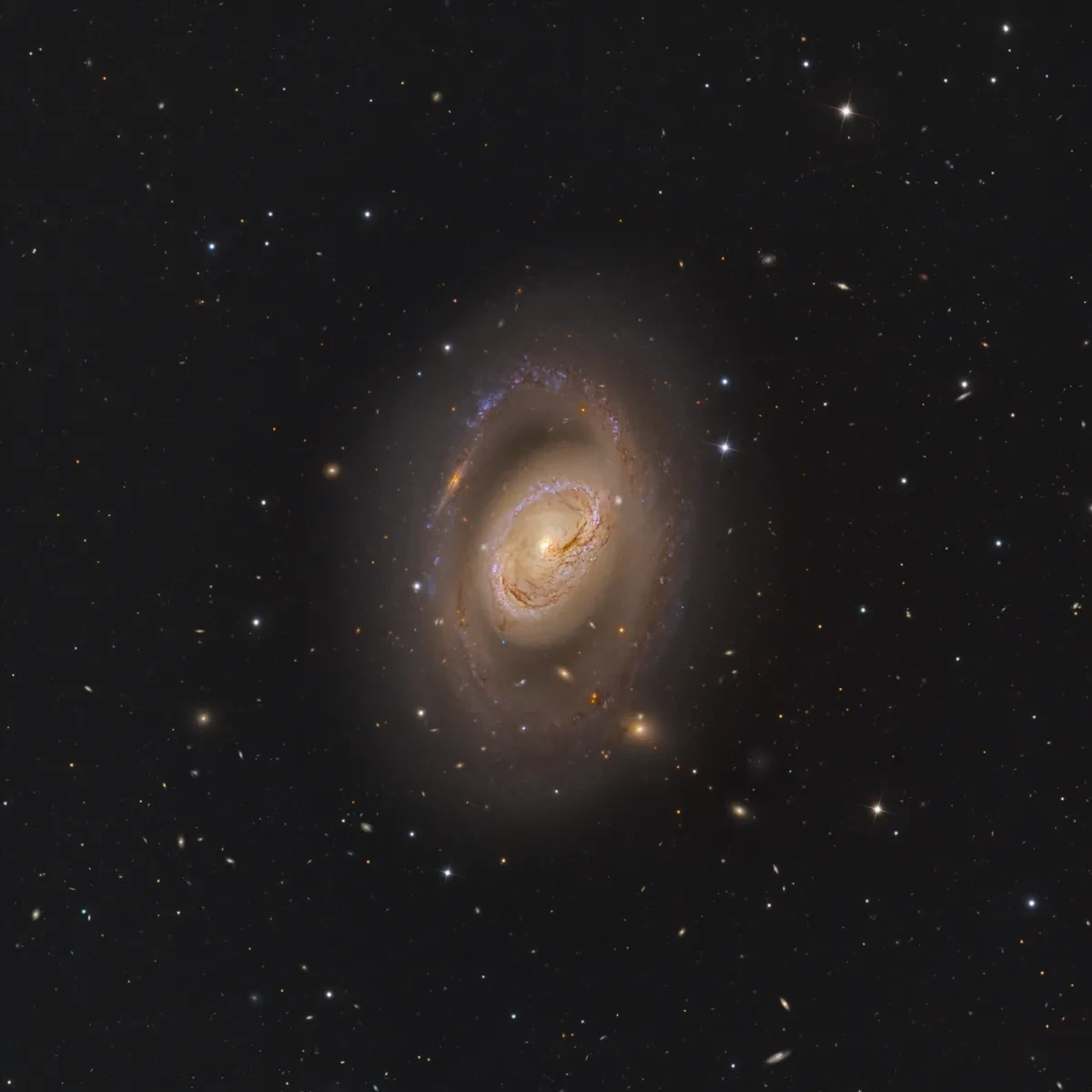Image of a spiral galaxy with a ring like structure of stars at the centre