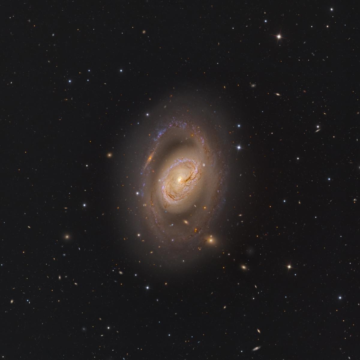 Image of a spiral galaxy with a ring like structure of stars at the centre