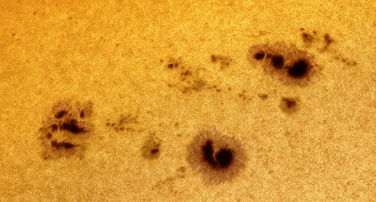 Close-up telescope view of sunspots on the Sun's surface, appearing as black dots amidst a sea of boiling yellow and orange swirls