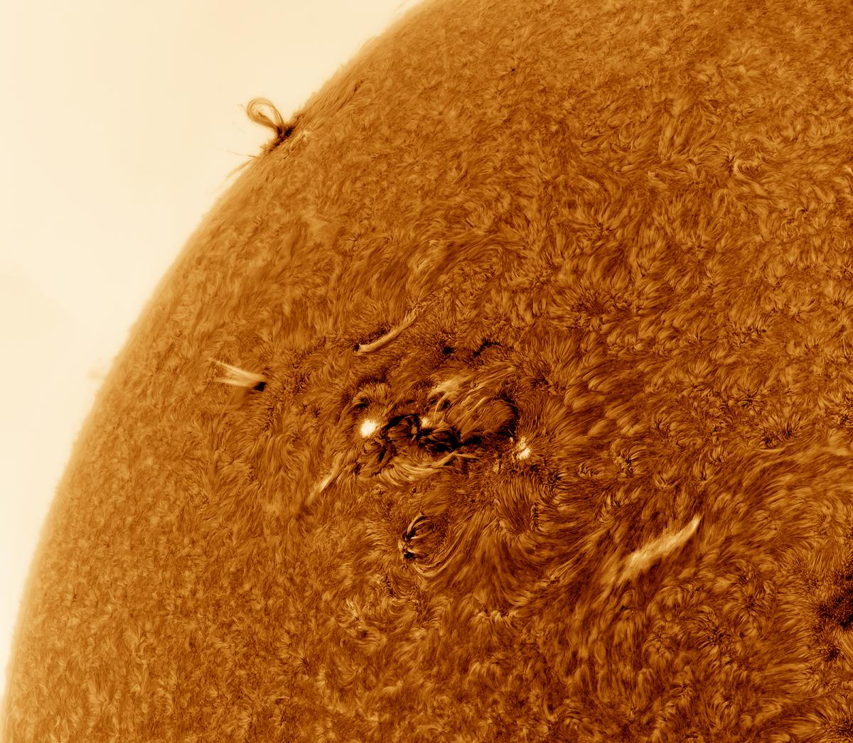 Close up telescope view of the Sun's surface, showing a solar prominence – a looping curl of light bursting out from the star's surface
