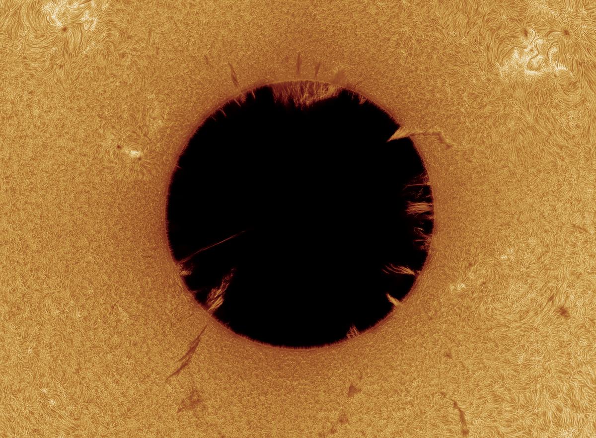 An inverted telescope view of the Sun, with a dark black spot at the centre