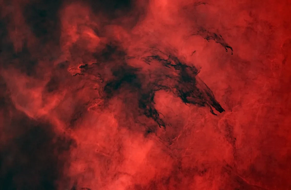 Image of red nebulae clouds of gas and dust, with a black shape on the top which resembles a wolf