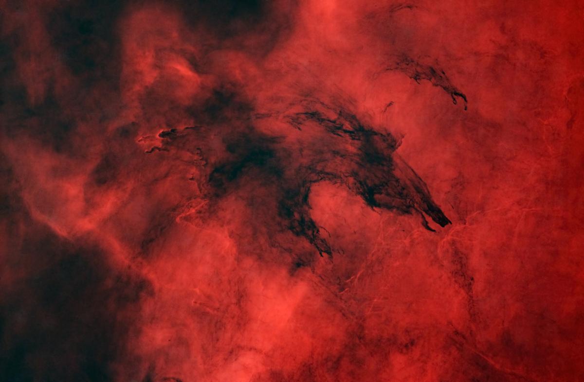 Image of red nebulae clouds of gas and dust, with a black shape on the top which resembles a wolf