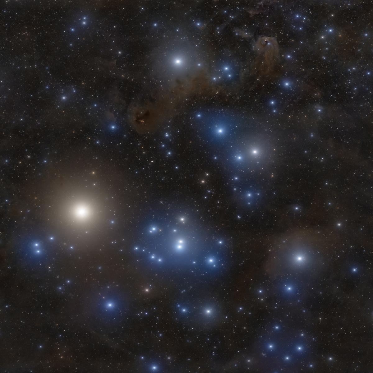 Image showing the Hyades star cluster which has many prominent glowing blue stars, and one really large white star
