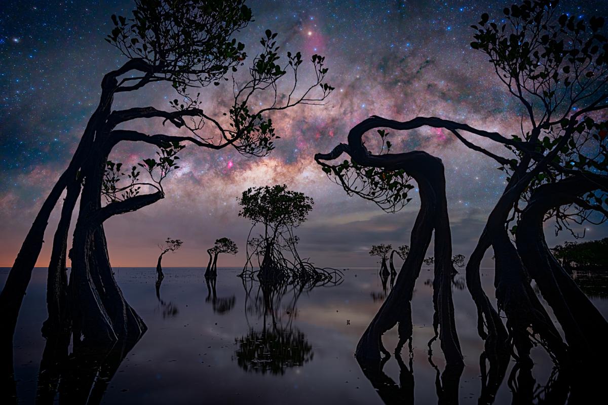 Image of trees emerging out of a body of water, but the trees are very unique bent and twisted shapes. The trees are silhouetted against the sky which has the Milky way going across it horizontally, rendered in purples, blues and pinks