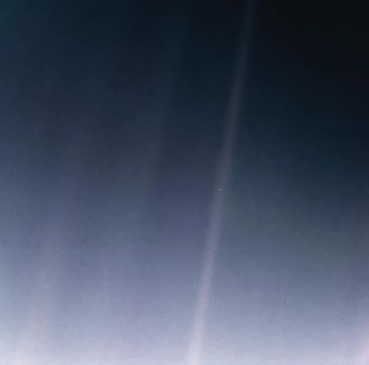 An image for 'Suspended in a Sunbeam'