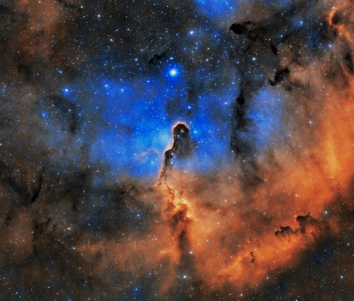 Elephant's trunk nebula surrounded by blue and orange coloured gases