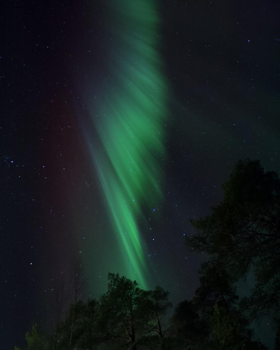 Green aurora of Northern Lights stretching upwards