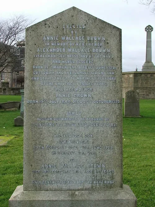 Image of headstone of Alexander Wallace Brown