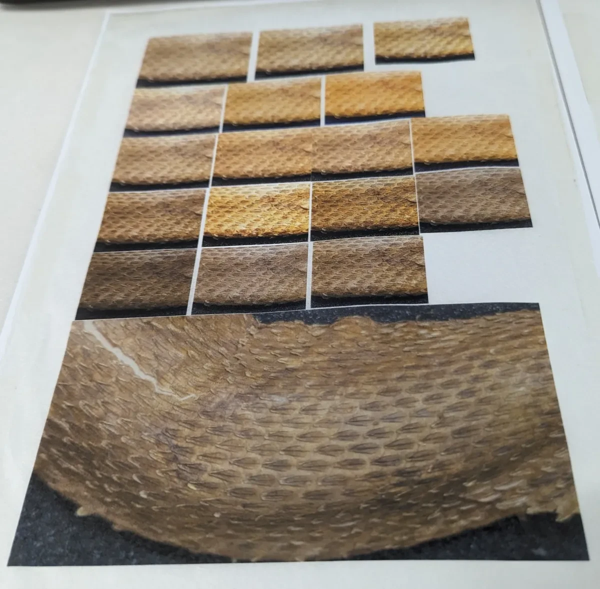 Image showing the range of different colour variations possible because of printing