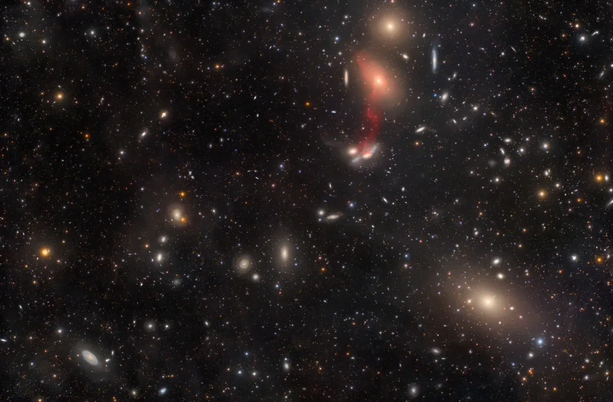 A very busy rectangular image depicting a night sky covered in thousands of stars in blues, oranges, reds and whites. There are also hundreds of oval fuzzy shapes in blues, yellows and oranges, which are very distant galaxies. In the top middle of the image there is a red gas smudge that merges with a few of the galaxies.