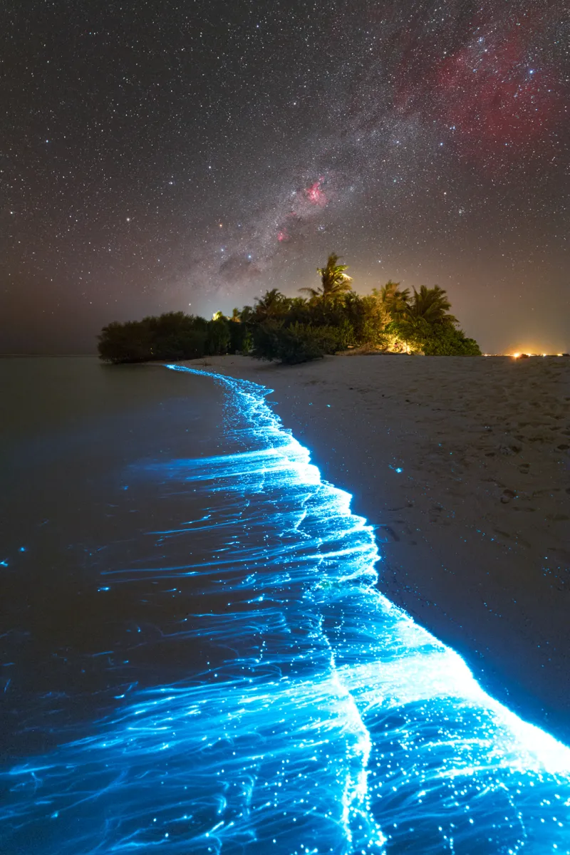 Beach at night with bright blue bioluminescence in the sea