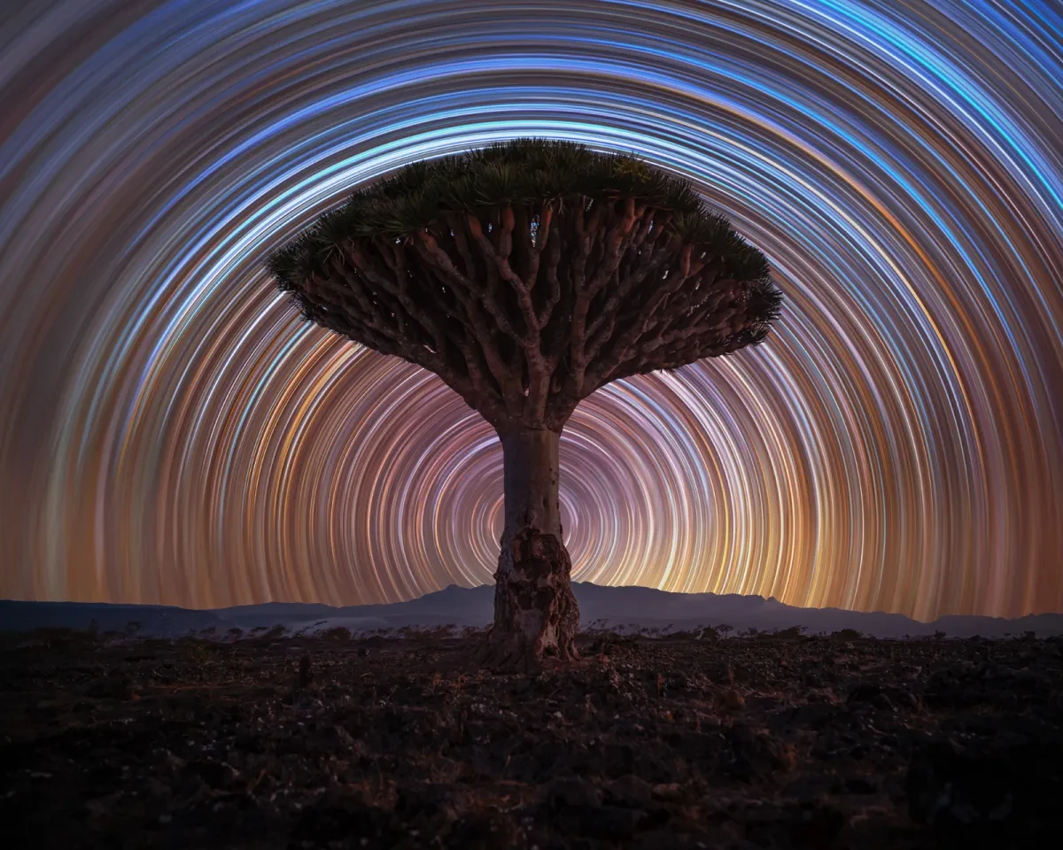 Photo of lone tree in the centre of a flat landscape with distant hill, in the sky are multicoloured star trails forming a perfect circle around the tree
