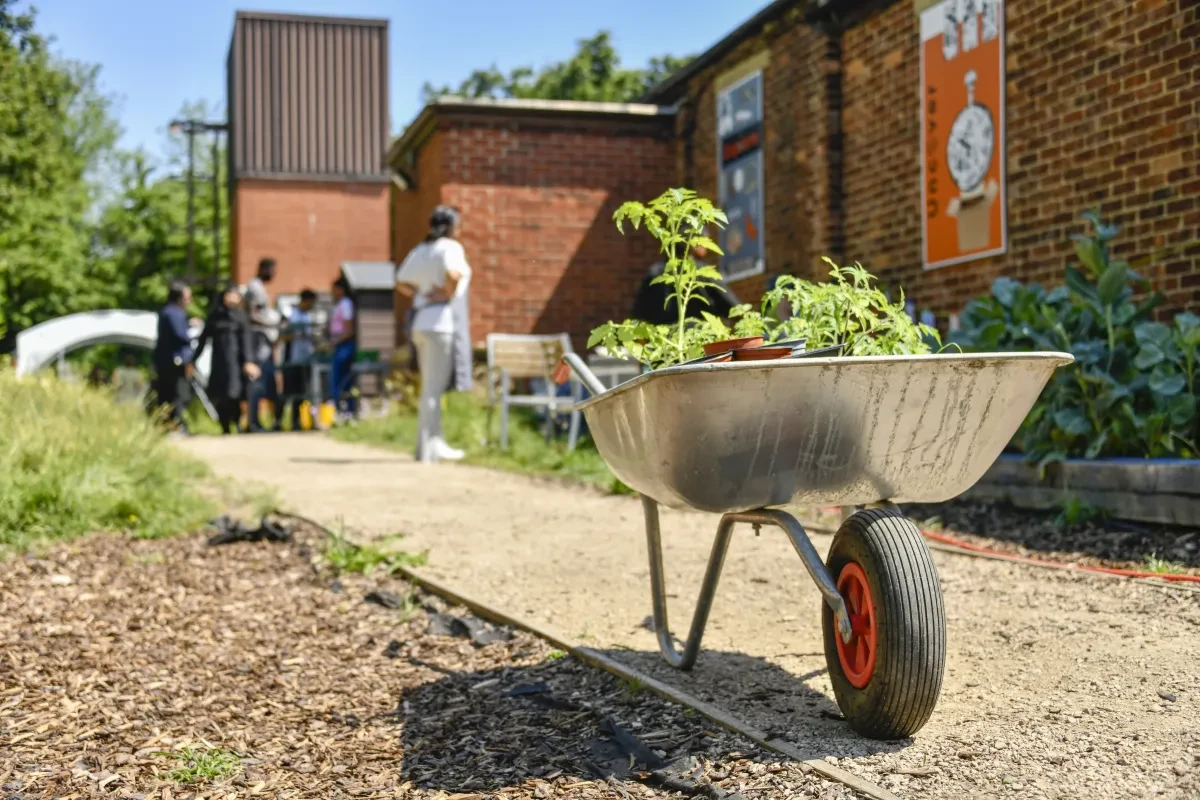 A wheelbarrow with plants within a garden