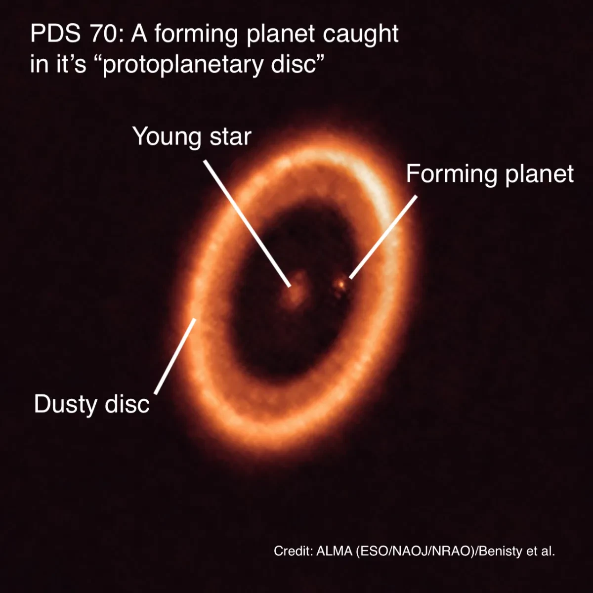 A protoplanetary disc with a young star labelled in the centre