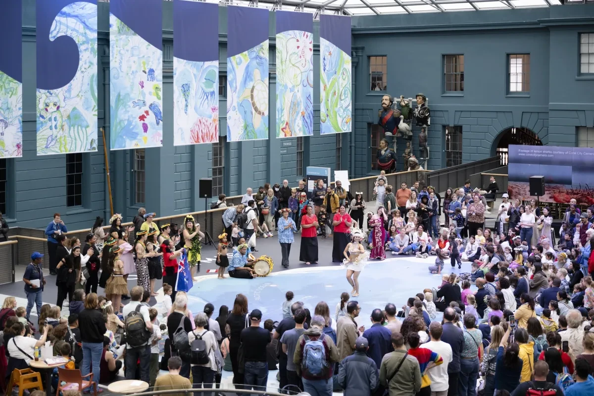 An image for 'Live performances'