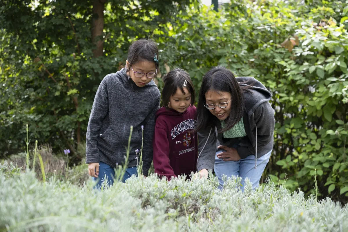 An image for 'Community Garden'