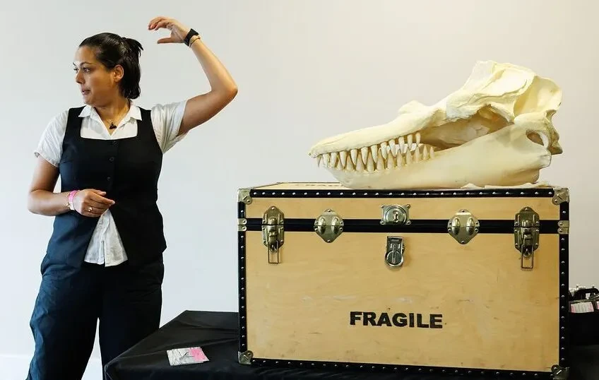 A woman gives a talk standing next to a large whale skull. The skull is sat on top of a wooden trunk marked 'FRAGILE'