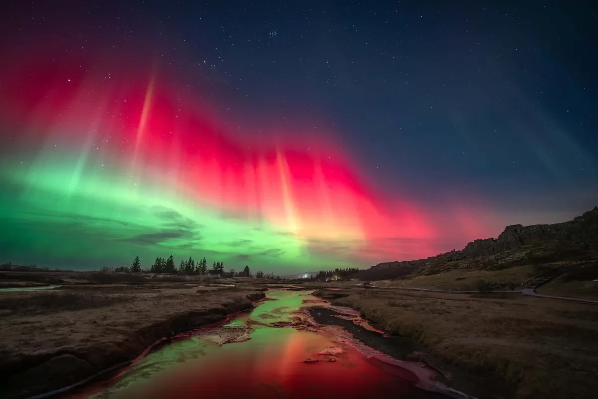 A silvery river in the centre of the picture reflects the amazing green and pink aurorae and dark blue sky above. There are silhouettes of trees on the horizon