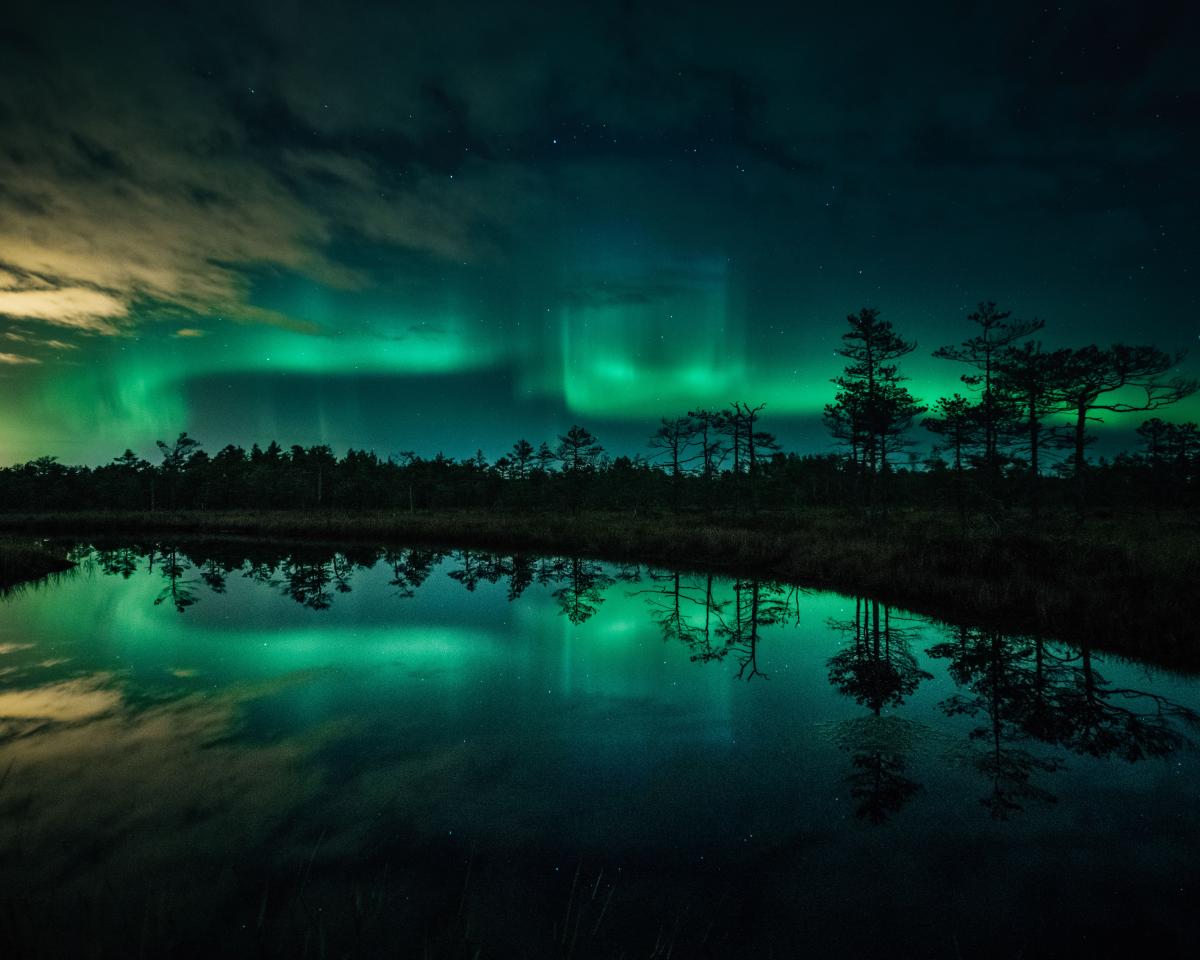 A-17351-5_Dance Over the Swamp © Kamil Nureev-min.jpg