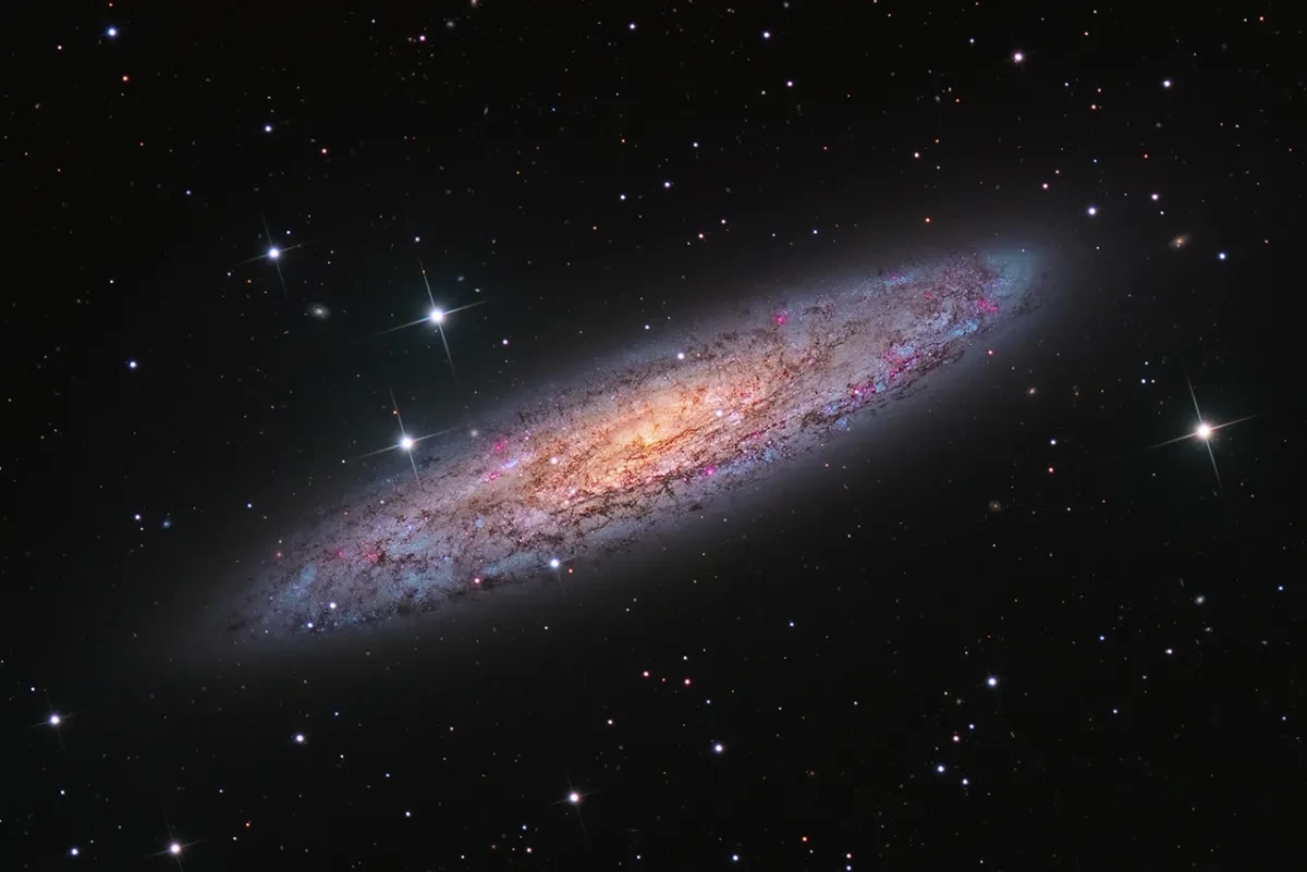 G-3249-35_NGC 253 - Starbust Galaxy in Sculptor © Terry Robison.jpg