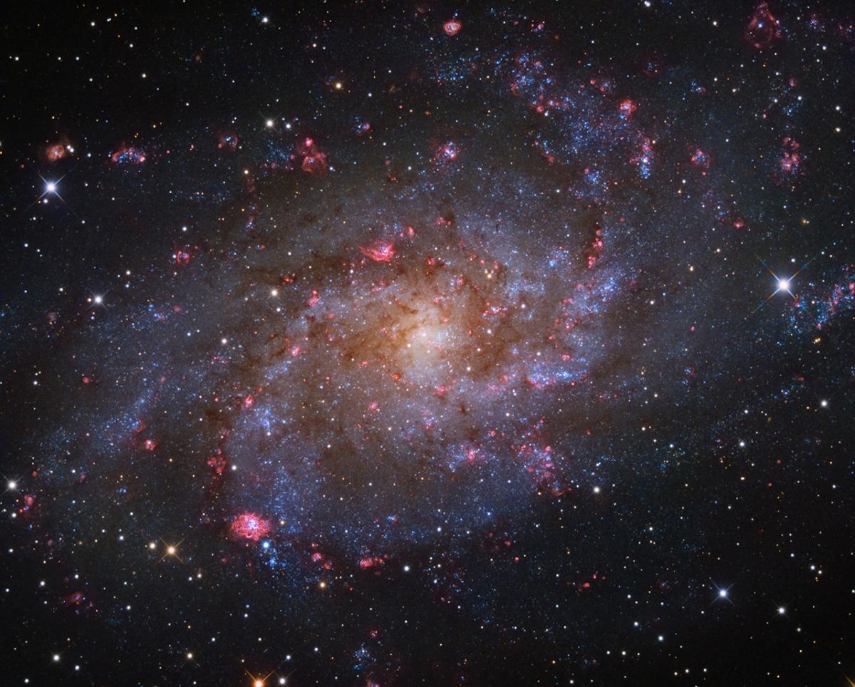 G-80633-1_M33 The Triangulum Galaxy © Rui Liao.jpg