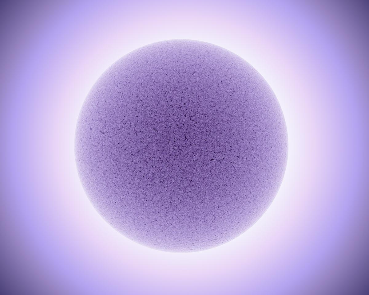 OS-43013-3_Highly Commended_Ultraviolet © Alan Friedman.jpg