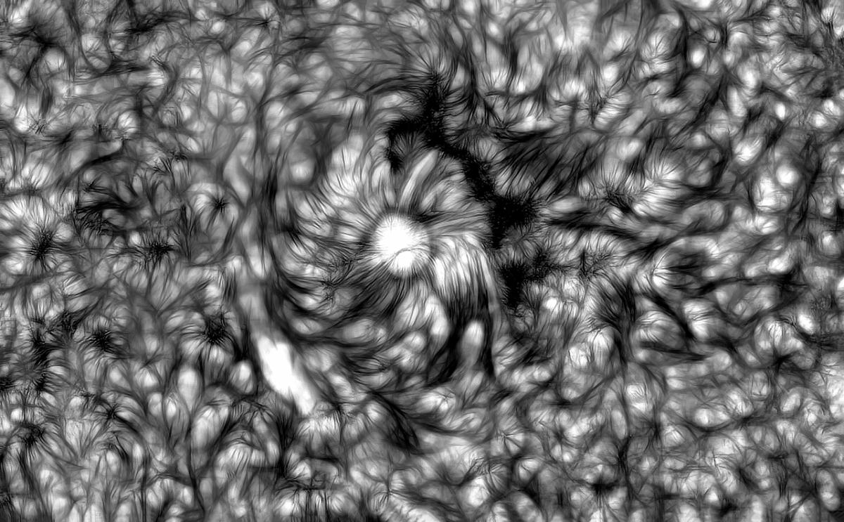 OS-5511-53_The Art of the Chromosphere Magnetic Field Lines © Gabriel Octavian Corban.jpg