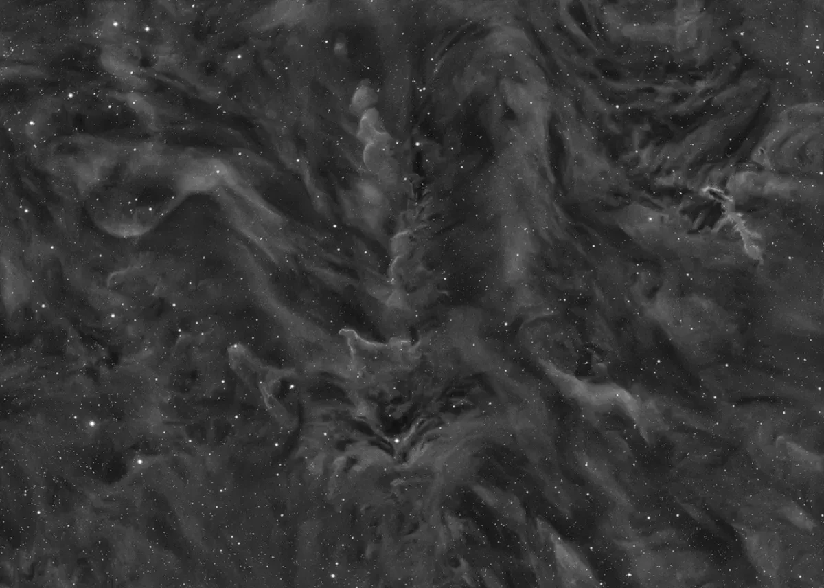 SN-15027-1_Dust Clouds in Orion © Tristan Campbell.jpg