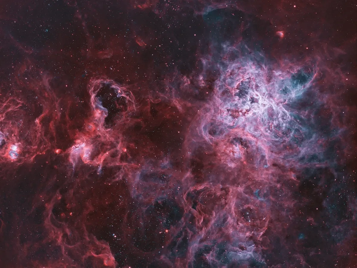 SN-3780-3_Fiery Tarantula © Ignacio Diaz Bobillo.jpg
