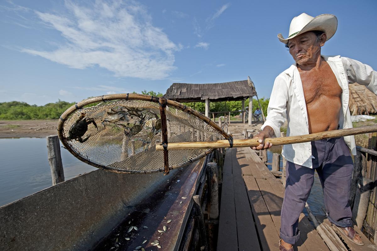 Fishing with tapos