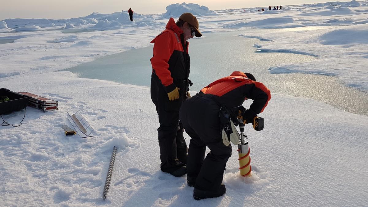 Two scientists stand on sea ice in the Arctic taking measurements