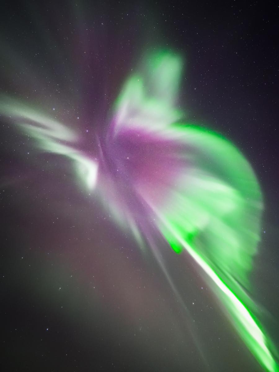 Image of a star-scattered night sky, with aurorae forming the shape of a half butterfly, in shades of purple which phase into bright, almost neon greens