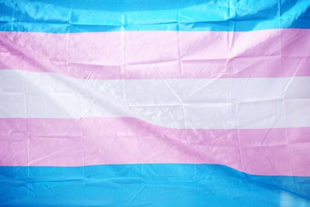 Image of a transgender flag, with 5 horizontal stripes, the top is blue, followed by pink, white, pink and blue