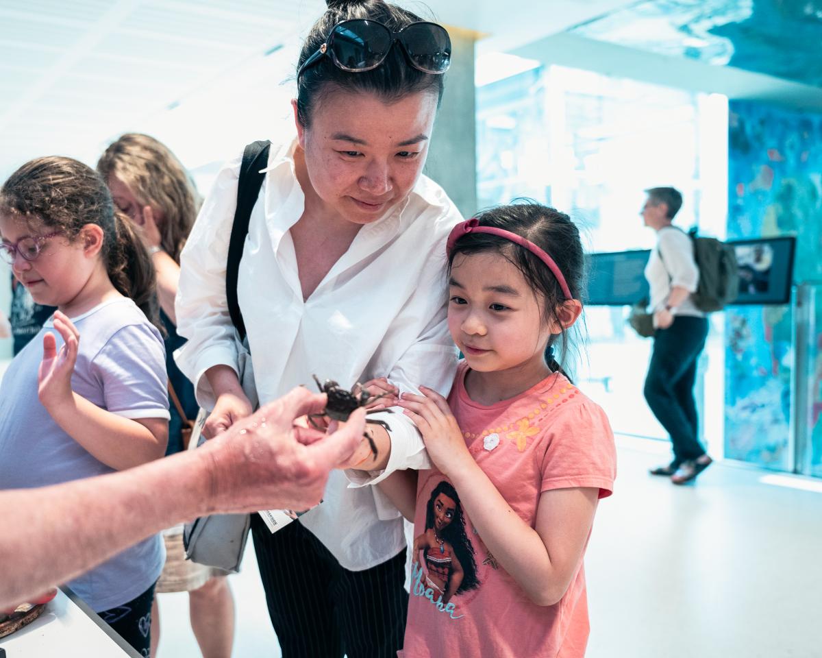 A child holds her mother's arm as they both peer curiously at a small crab held in front of them