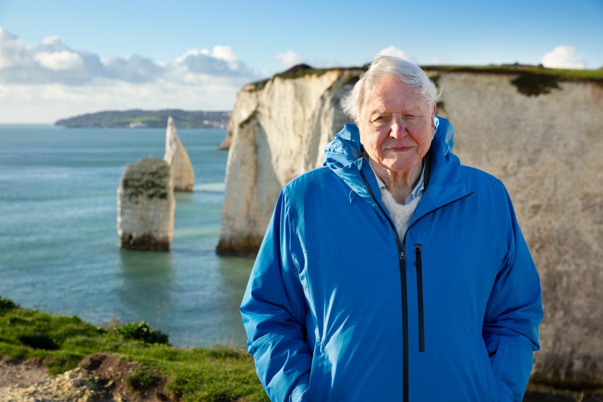 David Attenborough in blue jacket in front of white cliffs and the sea