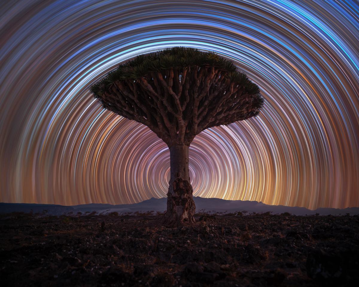 Photo of lone tree in the centre of a flat landscape with distant hill, in the sky are multicoloured star trails forming a perfect circle around the tree