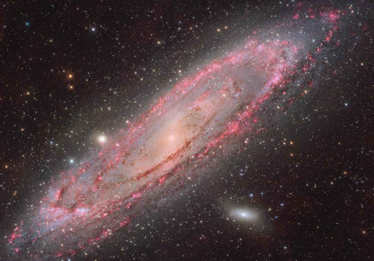 Photo of Andromeda Galaxy up close in vivid reds and purples
