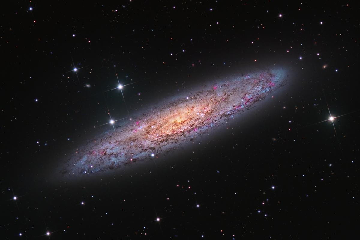 G-3249-35_NGC 253 - Starbust Galaxy in Sculptor © Terry Robison.jpg