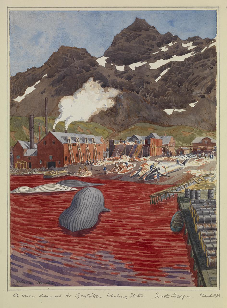 A graphic depiction of a whaling station in South Georgia, showing dead whale carcass floating in the harbour