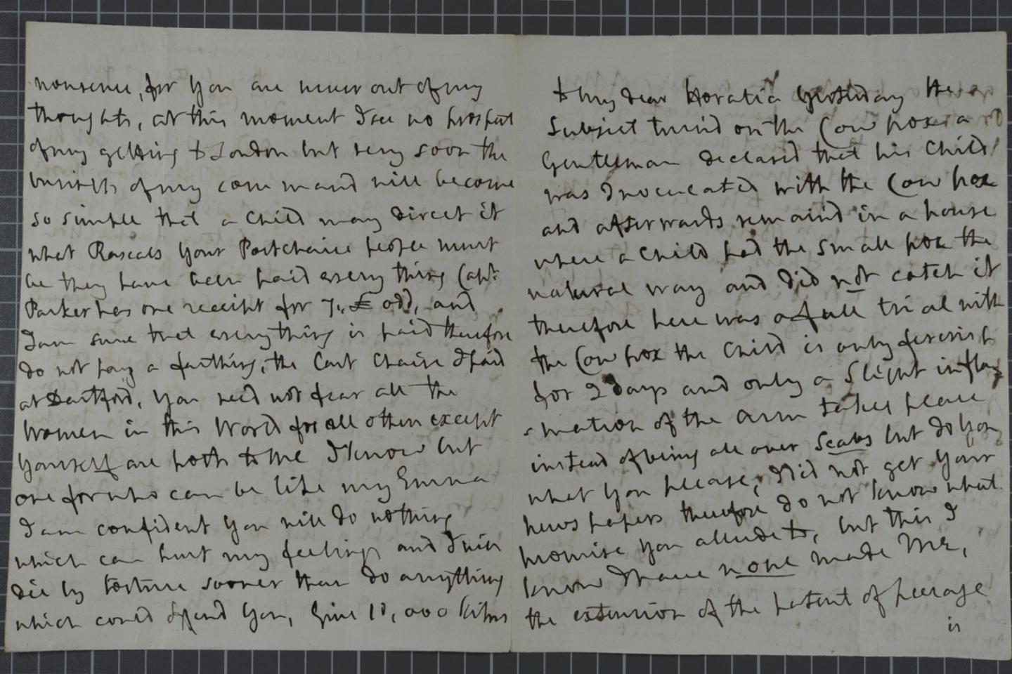 Nelson's handwritten letter to Emma Hamilton, dated 31 July 1801. The section about inoculation begins in the top right of the image