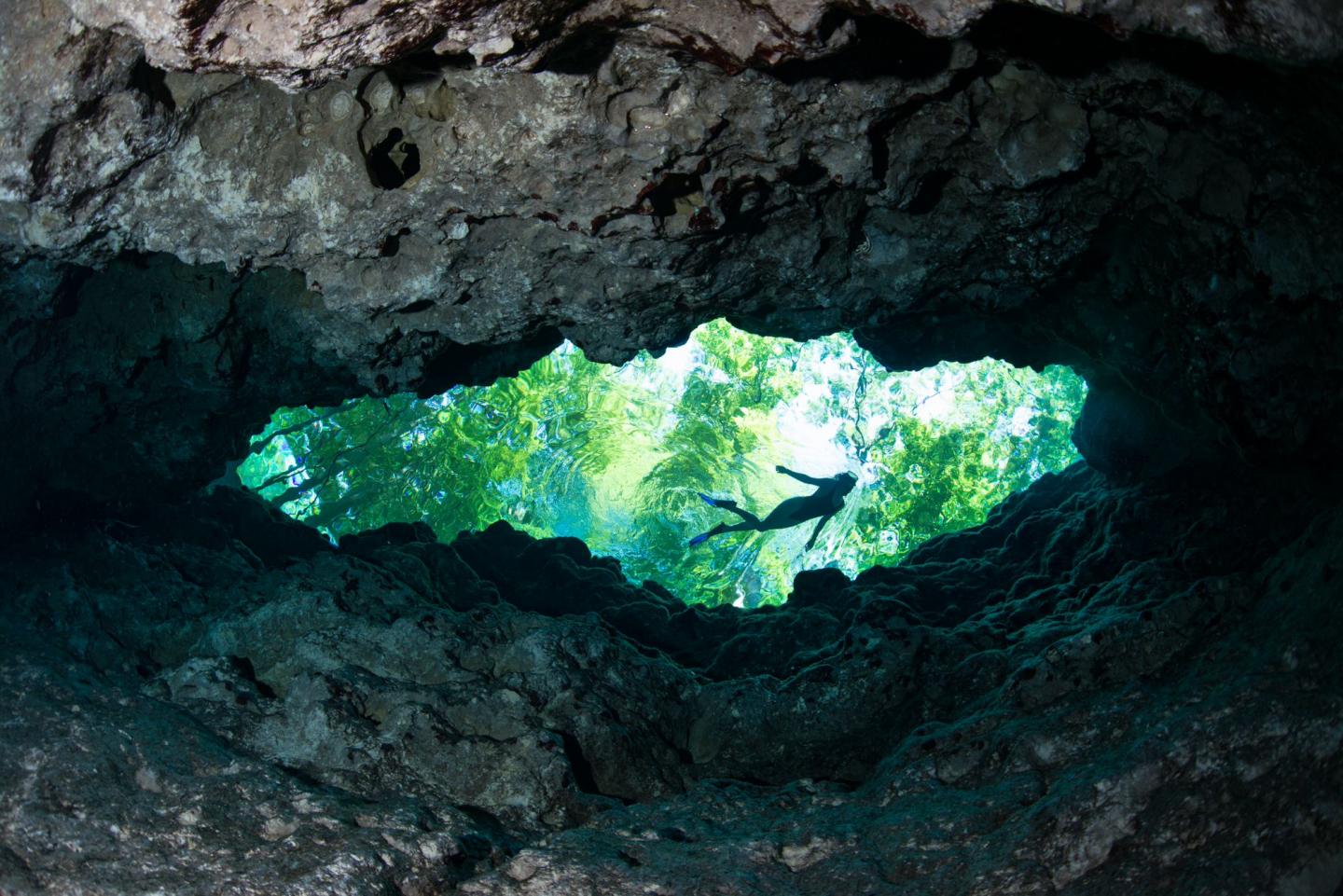 A snorkeler swims at the water's surface about 40 feet overhead, outlined by the limestone spring vent © Jennifer Adler