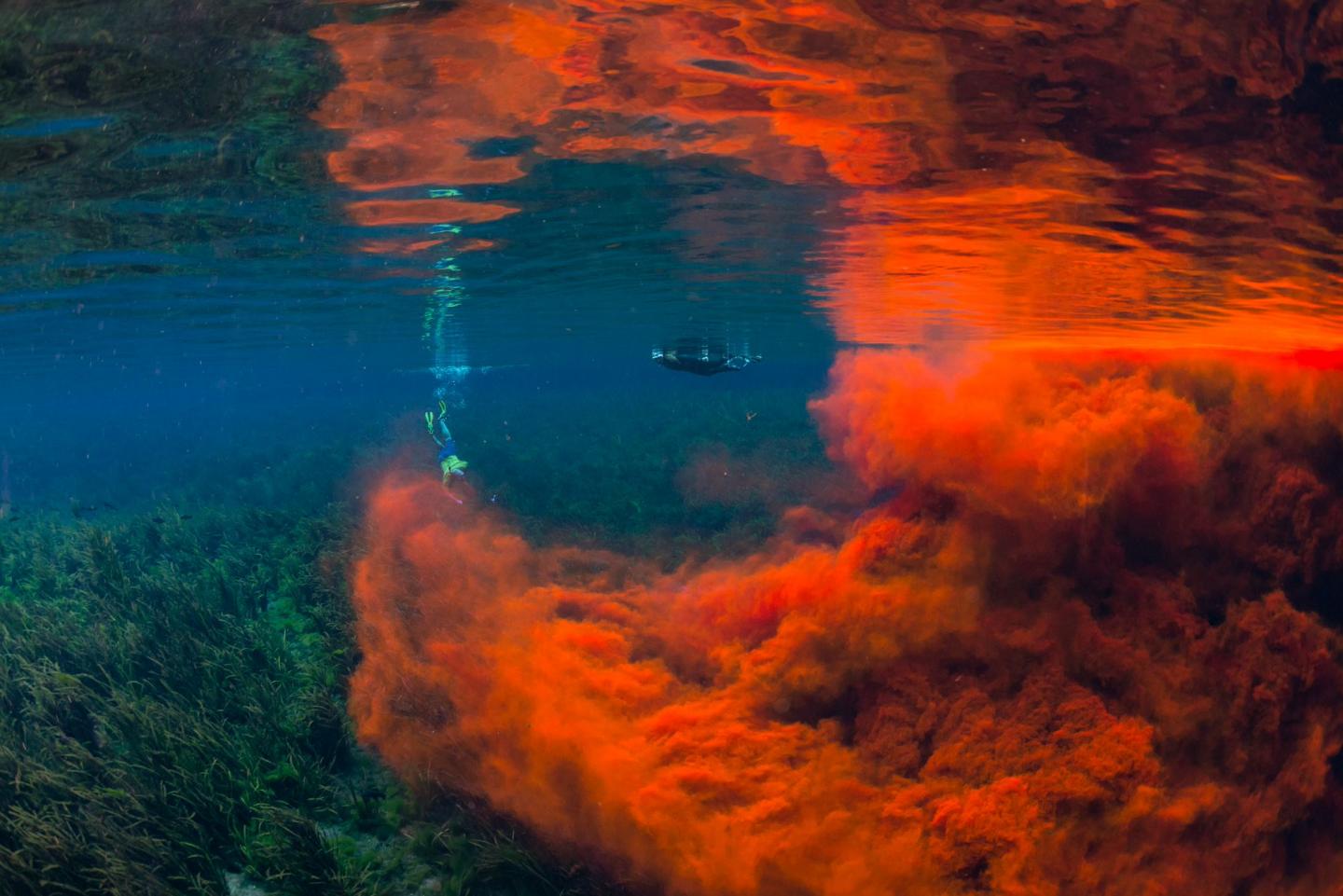 Scientists from the University of Florida conduct a dye trace study at Silver Spring. By kind permission of artist © Jennifer Adler