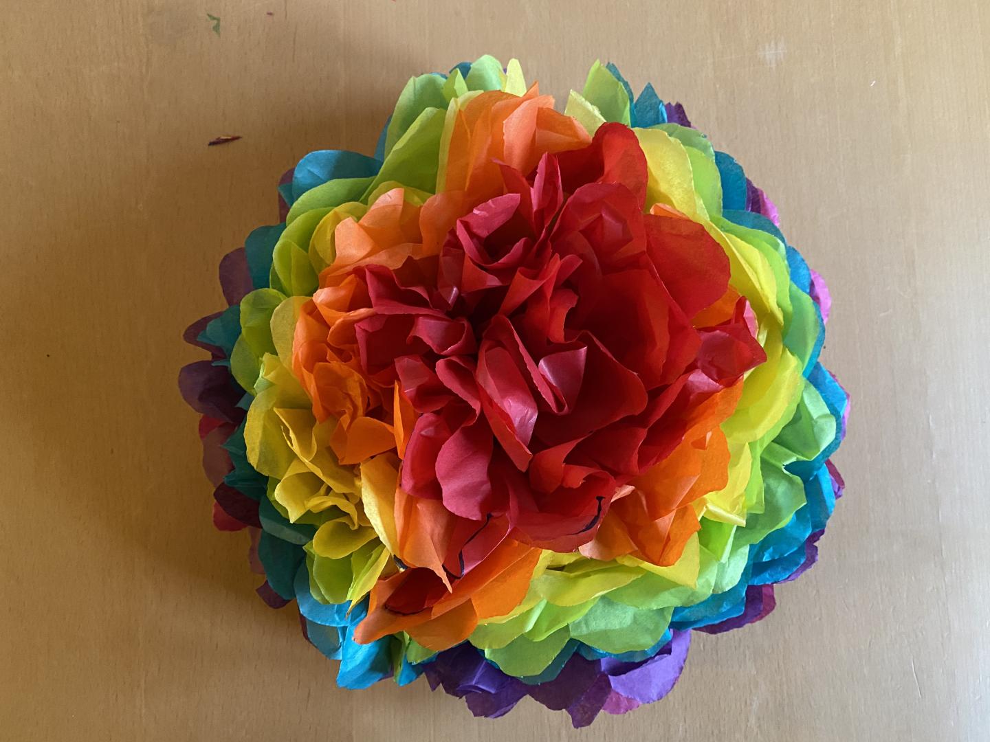 Rainbow Tissue Pom Pom 17in