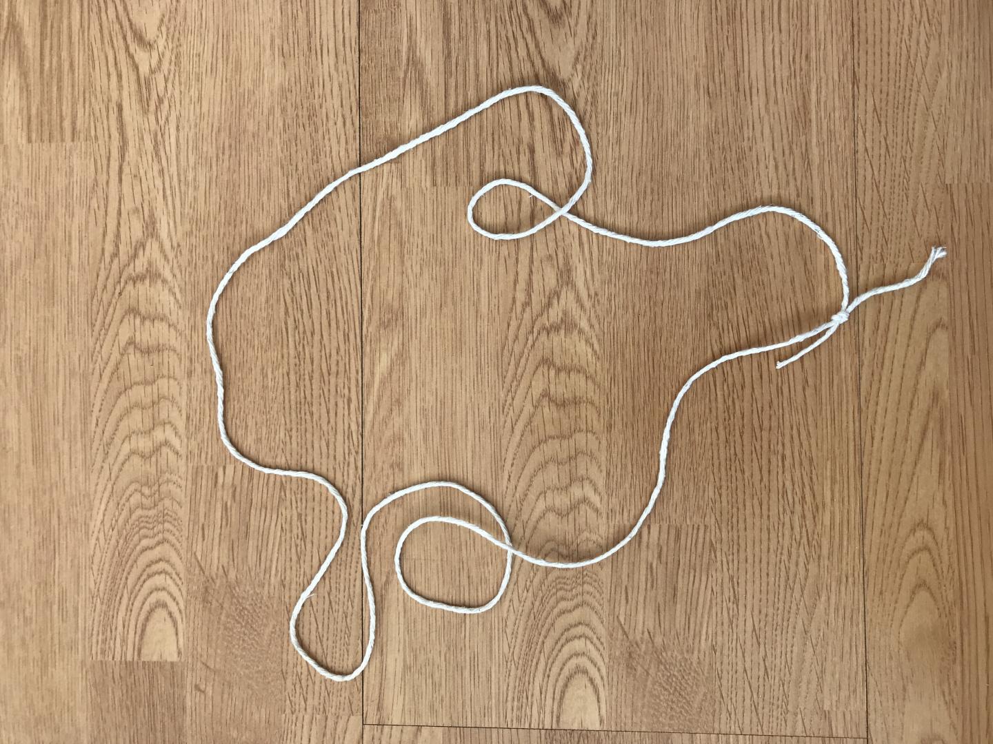 A long piece of string with both ends tied together to create a loop. 
