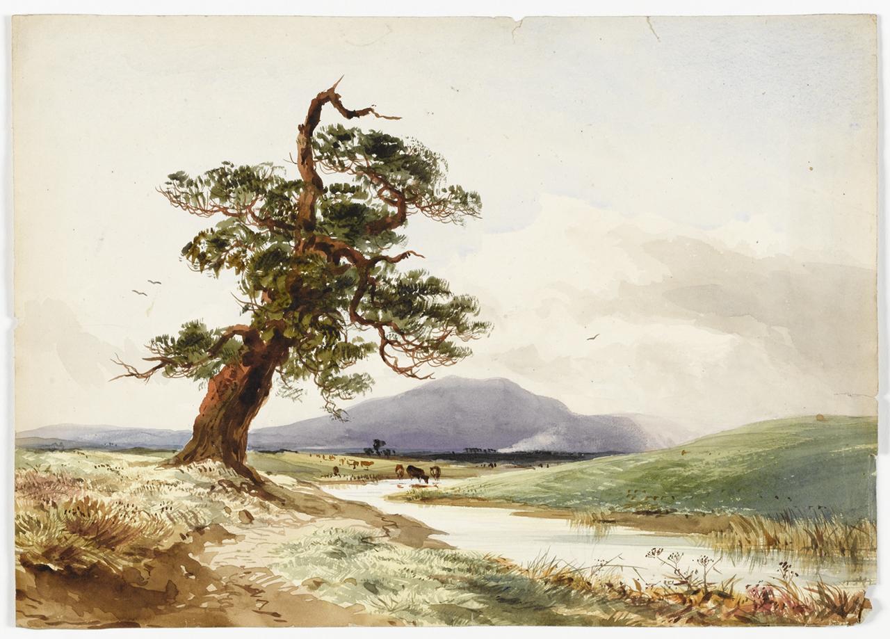View of a tree near a river with cattle drinking and purple hill beyond’, John or Margaret Herschel, 1830s 
