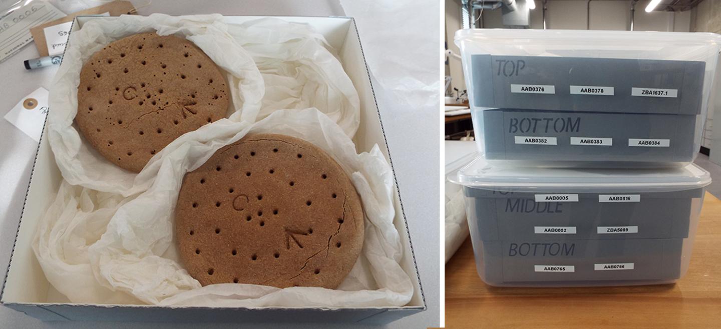 Small ships biscuit rehousing. Image on the left shows the old tin it used to be held in and the image on the right shows the biscuit in its new box