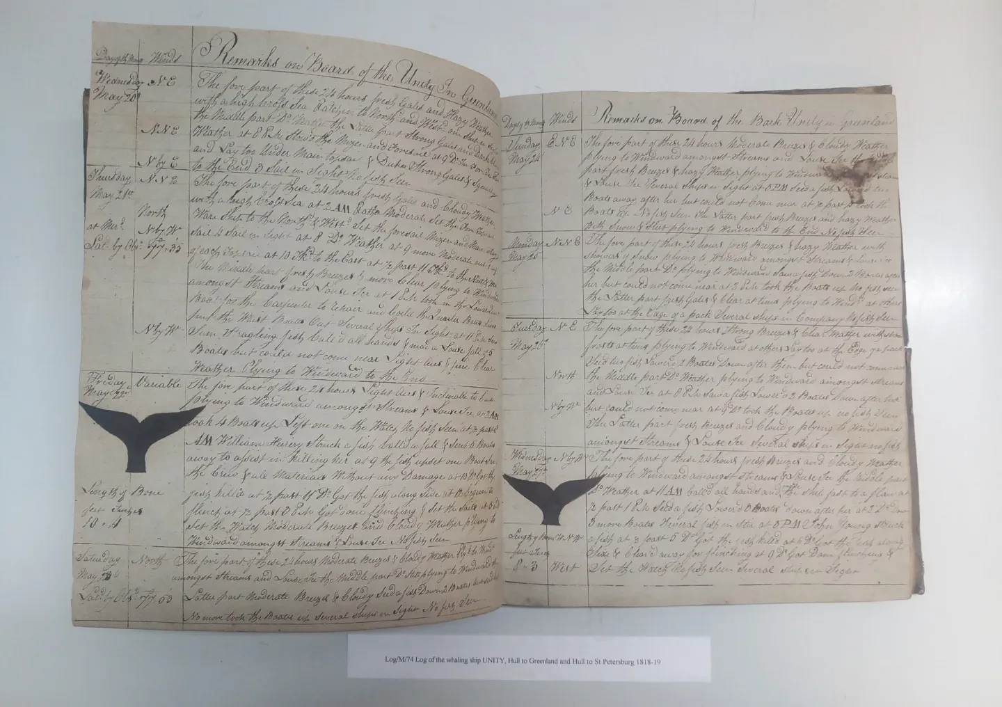 19th century handwritten logbook with drawings of whale fins in the margins