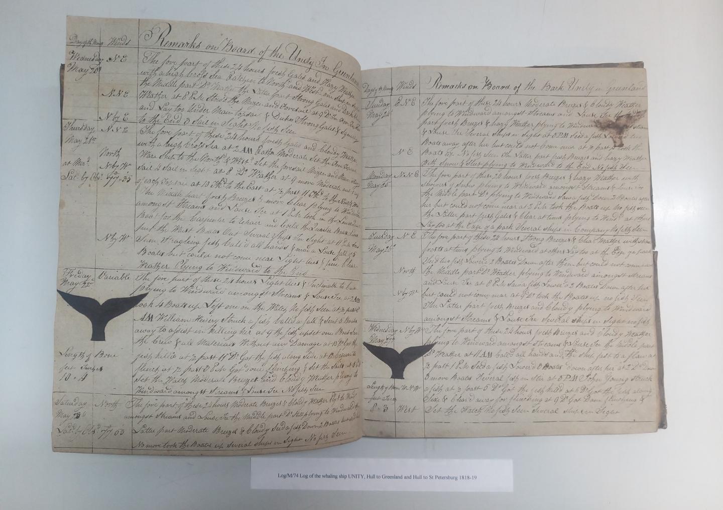 19th century handwritten logbook with drawings of whale fins in the margins